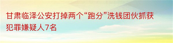 甘肃临泽公安打掉两个“跑分”洗钱团伙抓获犯罪嫌疑人7名