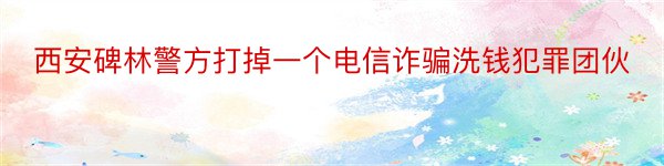 西安碑林警方打掉一个电信诈骗洗钱犯罪团伙