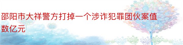 邵阳市大祥警方打掉一个涉诈犯罪团伙案值数亿元