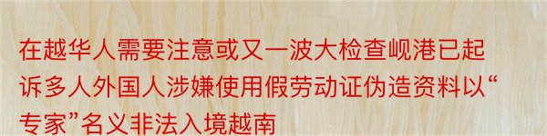 在越华人需要注意或又一波大检查岘港已起诉多人外国人涉嫌使用假劳动证伪造资料以“专家”名义非法入境越南