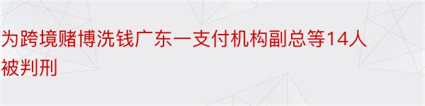 为跨境赌博洗钱广东一支付机构副总等14人被判刑