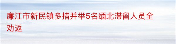 廉江市新民镇多措并举5名缅北滞留人员全劝返