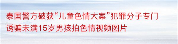 泰国警方破获“儿童色情大案”犯罪分子专门诱骗未满15岁男孩拍色情视频图片