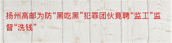 扬州高邮为防“黑吃黑”犯罪团伙竟聘“监工”监督“洗钱”