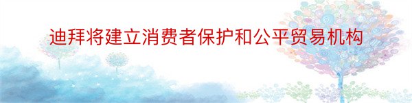 迪拜将建立消费者保护和公平贸易机构