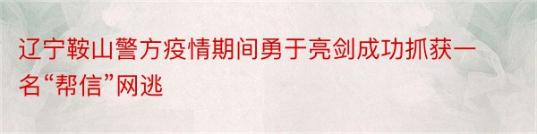 辽宁鞍山警方疫情期间勇于亮剑成功抓获一名“帮信”网逃