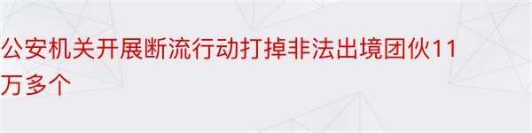 公安机关开展断流行动打掉非法出境团伙11万多个