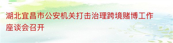 湖北宜昌市公安机关打击治理跨境赌博工作座谈会召开