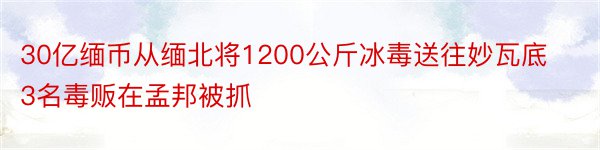 30亿缅币从缅北将1200公斤冰毒送往妙瓦底3名毒贩在孟邦被抓