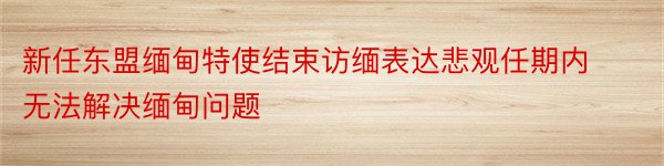 新任东盟缅甸特使结束访缅表达悲观任期内无法解决缅甸问题