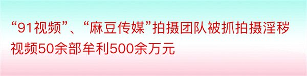 “91视频”、“麻豆传媒”拍摄团队被抓拍摄淫秽视频50余部牟利500余万元