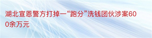 湖北宣恩警方打掉一“跑分”洗钱团伙涉案600余万元