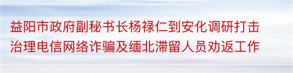 益阳市政府副秘书长杨禄仁到安化调研打击治理电信网络诈骗及缅北滞留人员劝返工作