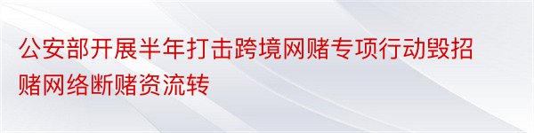 公安部开展半年打击跨境网赌专项行动毁招赌网络断赌资流转