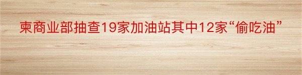 柬商业部抽查19家加油站其中12家“偷吃油”