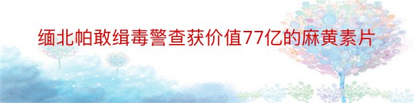 缅北帕敢缉毒警查获价值77亿的麻黄素片