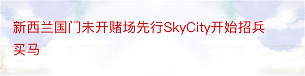 新西兰国门未开赌场先行SkyCity开始招兵买马