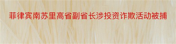 菲律宾南苏里高省副省长涉投资诈欺活动被捕