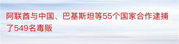 阿联酋与中国、巴基斯坦等55个国家合作逮捕了549名毒贩