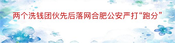 两个洗钱团伙先后落网合肥公安严打“跑分”