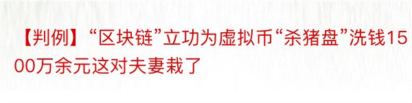 【判例】“区块链”立功为虚拟币“杀猪盘”洗钱1500万余元这对夫妻栽了