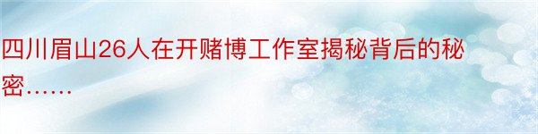 四川眉山26人在开赌博工作室揭秘背后的秘密……