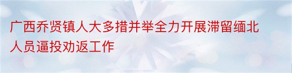 广西乔贤镇人大多措并举全力开展滞留缅北人员逼投劝返工作