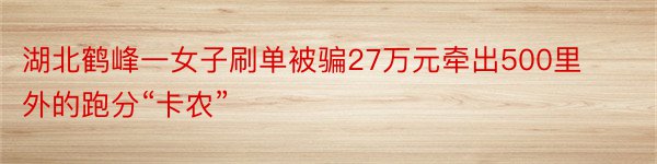 湖北鹤峰一女子刷单被骗27万元牵出500里外的跑分“卡农”