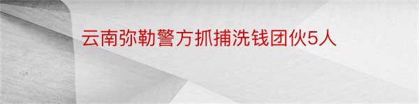 云南弥勒警方抓捕洗钱团伙5人