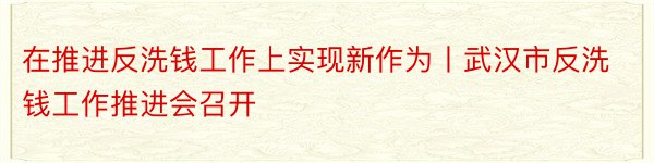 在推进反洗钱工作上实现新作为丨武汉市反洗钱工作推进会召开