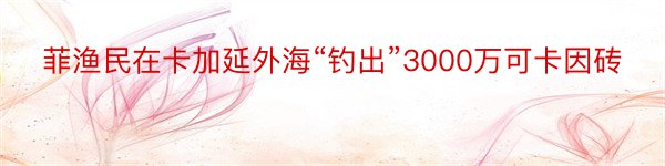 菲渔民在卡加延外海“钓出”3000万可卡因砖