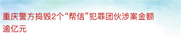 重庆警方捣毁2个“帮信”犯罪团伙涉案金额逾亿元