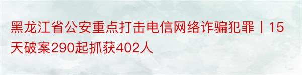 黑龙江省公安重点打击电信网络诈骗犯罪丨15天破案290起抓获402人