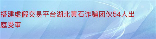 搭建虚假交易平台湖北黄石诈骗团伙54人出庭受审