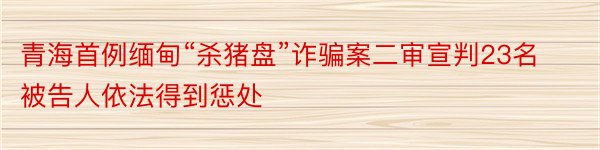 青海首例缅甸“杀猪盘”诈骗案二审宣判23名被告人依法得到惩处