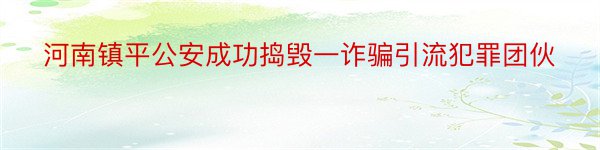 河南镇平公安成功捣毁一诈骗引流犯罪团伙