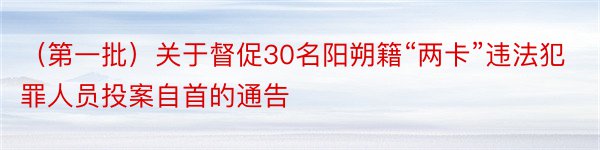 （第一批）关于督促30名阳朔籍“两卡”违法犯罪人员投案自首的通告