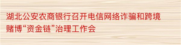 湖北公安农商银行召开电信网络诈骗和跨境赌博“资金链”治理工作会