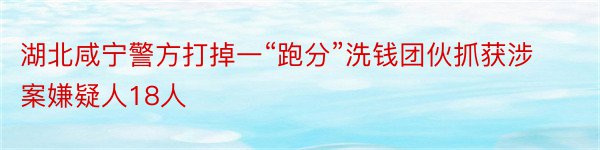 湖北咸宁警方打掉一“跑分”洗钱团伙抓获涉案嫌疑人18人