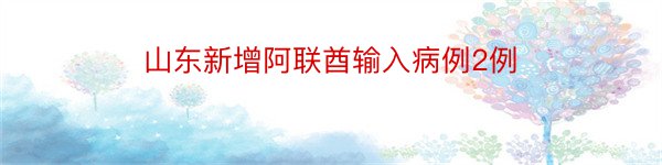 山东新增阿联酋输入病例2例