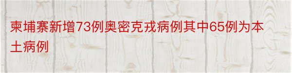 柬埔寨新增73例奥密克戎病例其中65例为本土病例