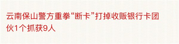 云南保山警方重拳“断卡”打掉收贩银行卡团伙1个抓获9人