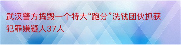 武汉警方捣毁一个特大“跑分”洗钱团伙抓获犯罪嫌疑人37人