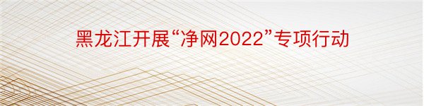 黑龙江开展“净网2022”专项行动