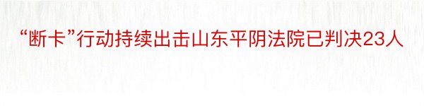 “断卡”行动持续出击山东平阴法院已判决23人