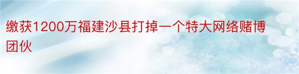 缴获1200万福建沙县打掉一个特大网络赌博团伙