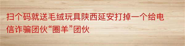 扫个码就送毛绒玩具陕西延安打掉一个给电信诈骗团伙“圈羊”团伙