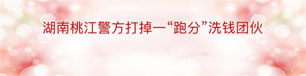 湖南桃江警方打掉一“跑分”洗钱团伙