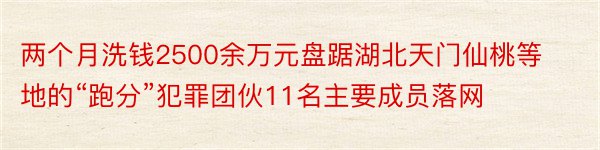 两个月洗钱2500余万元盘踞湖北天门仙桃等地的“跑分”犯罪团伙11名主要成员落网