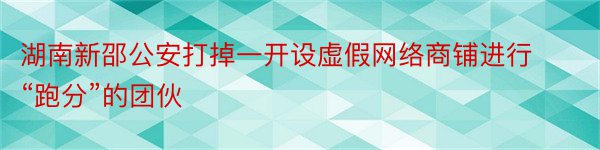 湖南新邵公安打掉一开设虚假网络商铺进行“跑分”的团伙